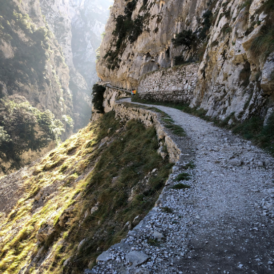 Las mejores rutas de senderismo en Cantabria